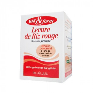 LEVURE DE RIZ ROUGE 600MG 90 GEL