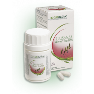 Olive Leaf Elusanes 416mg 60 capsules