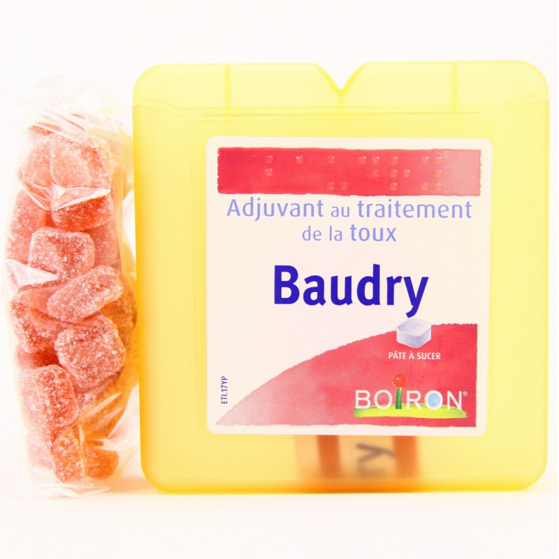 BOIRON BAUDRY PATE A SUCER ADJUVANT AU TRAITEMENT DE LA TOUX