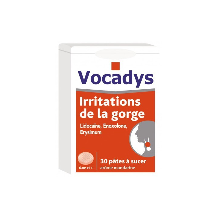 VOCADYS THROAT IRRITATIONS 30 PASTES TO SUCK MANDARIN AROMA