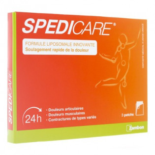 SPEDICARE 24H 3 PATCHES 