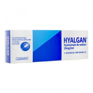 HYALGAN 20MG/2ML 1 PREFILLED SYRINGE