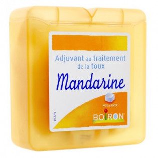 BOIRON ADJUVANT AU TRAITEMENT DE LA TOUX MANDARINE 60G