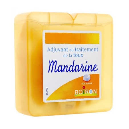 BOIRON ADJUVANT AU TRAITEMENT DE LA TOUX MANDARINE 60G