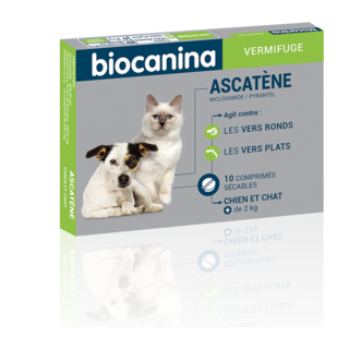 Ascatene deworming dogs and cats box of 10 cps