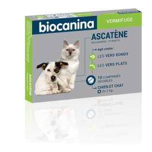 Ascatene deworming dogs and cats box of 10 cps