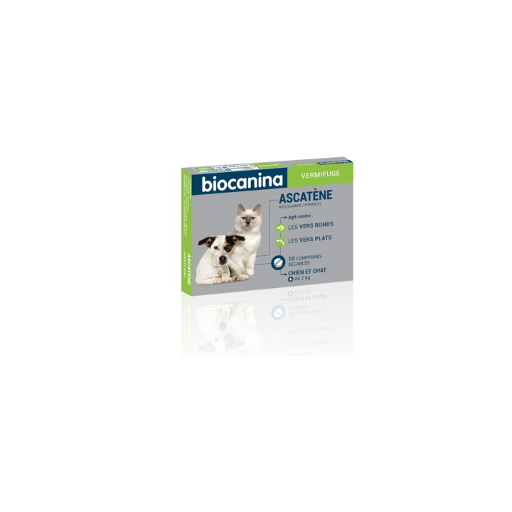 Ascatene deworming dogs and cats box of 10 cps