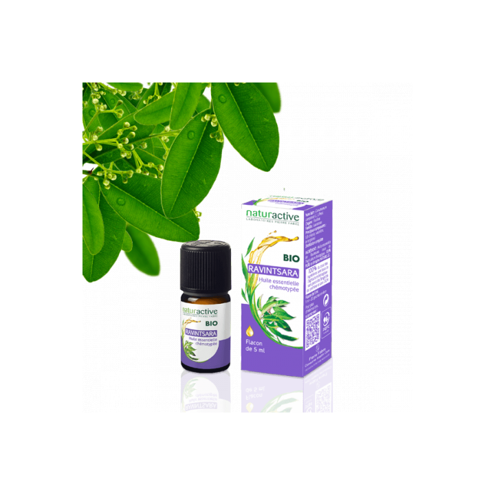 NATURACTIVE ORGANIC ESSENTIAL OIL Peppermint CHEMOTYPE BOTTLE 10ML
