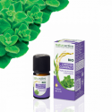 NATURACTIVE BIO HUILE ESSENTIELLE ORIGAN COMPACT CHEMOTYPEE FLACON 5ML