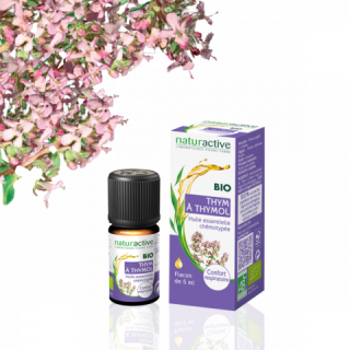 NATURACTIVE BIO HUILE ESSENTIELLE THYM A THYMOL CHEMOTYPEE FLACON 5ML