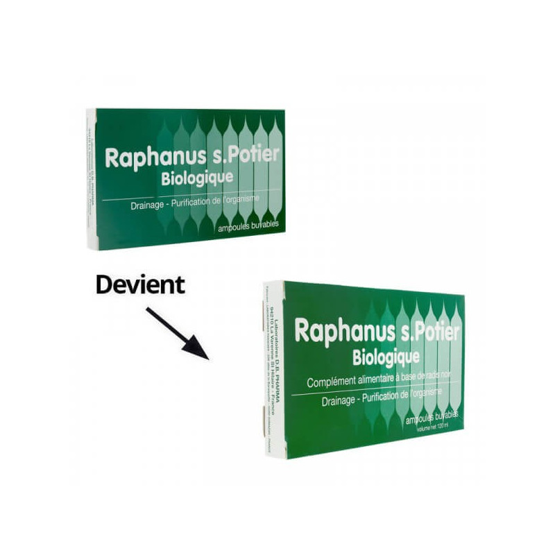 Raphanus S.Potier Biologique 12 ampoules 