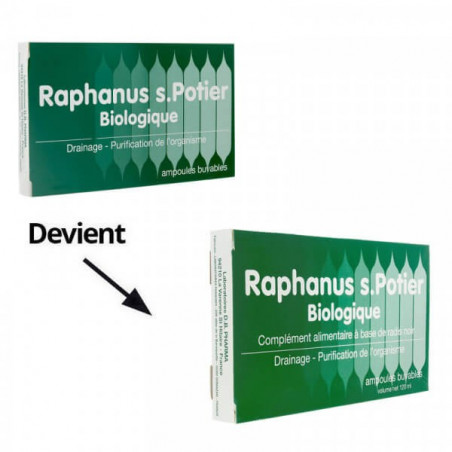 Raphanus S.Potier Biologique 12 ampoules 