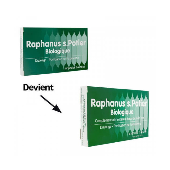 Raphanus S.Potier Organic 12 phials 
