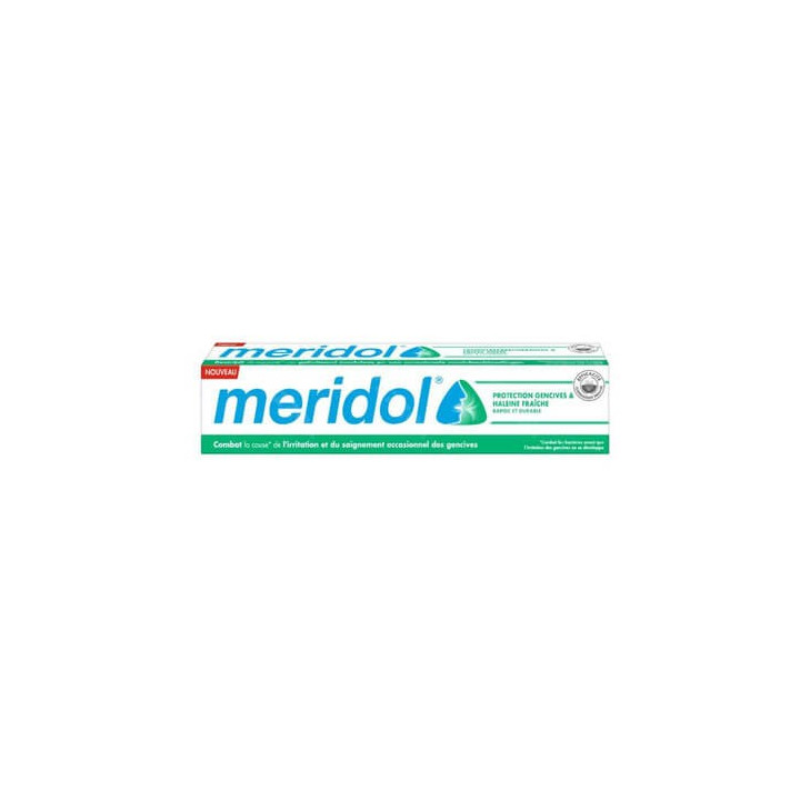 Meridol Gum and Breath Protection Toothpaste 75 ml