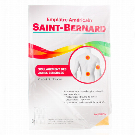 Saint Bernard Plaster 19x30cm