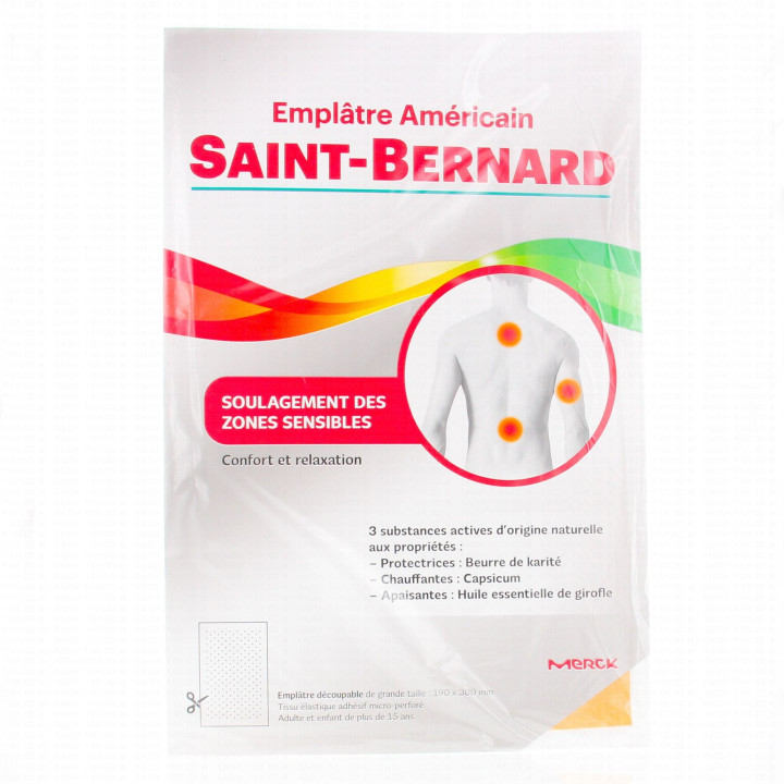 Saint Bernard Plaster 19x30cm