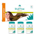 Silettum Boost Croissance et Résistance du cheveux 3 x 60 gélules