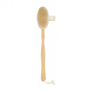 Cartel Paris Wood and Silk Dismantling Bath Brush