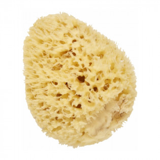 Cartel Paris Natural Sea Sponge 14 cm