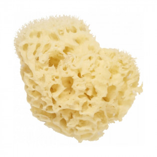 Cartel Paris Natural Sea Sponge 11 cm