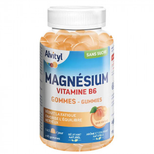 Alvityl Magnésium Vitamine B6 Goût abricot 45 gommes 3664492019765