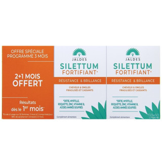 Silettum FORTIFYING resistance and shine 3 x 60 capsules