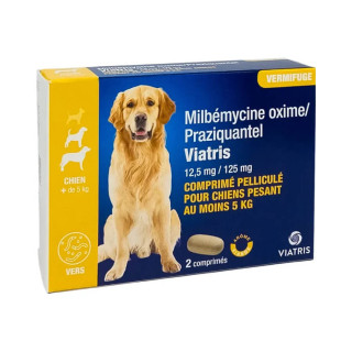 Milbemycin / Praziquantel for Dogs, 2 tablets | Viatris