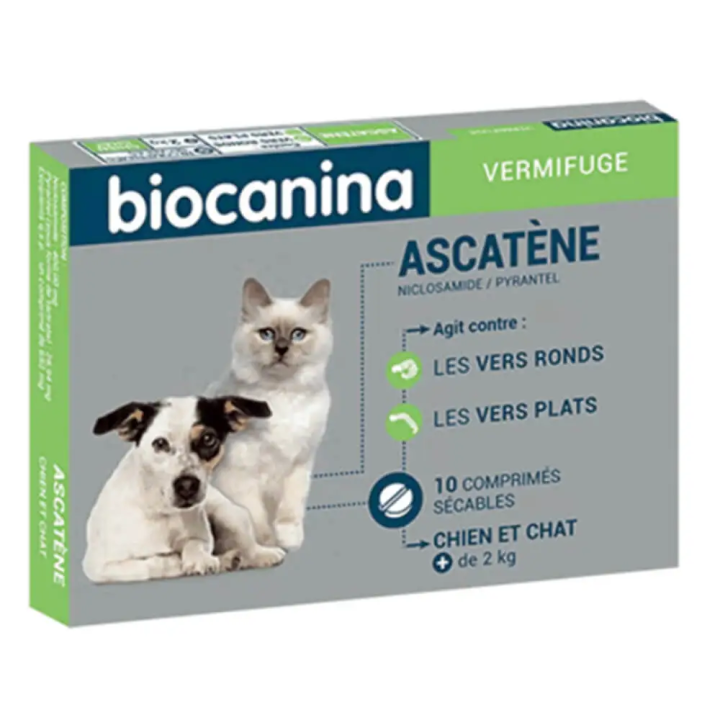 Ascatene deworming dogs and cats box of 10 cps