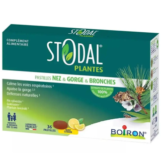 Stodal for Nose, Throat, and Bronchi by Boiron | 36 Lemon Lozenges