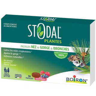 Stodal for Nose, Throat, and Bronchi by Boiron | 36 Red Berry Lozenges