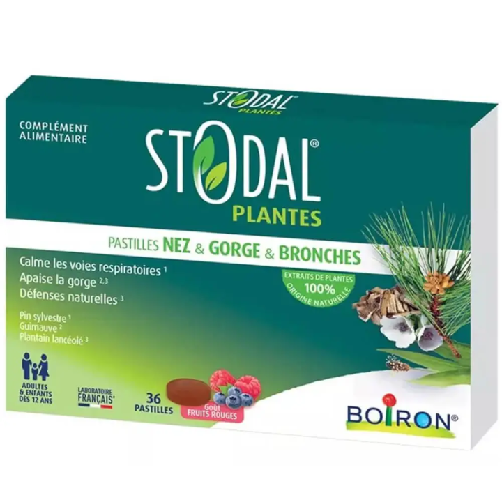 Boiron Stodal Plantes Nez, Gorge et Bronches 36 Pastilles Goût Fruits Rouges 3352712012466