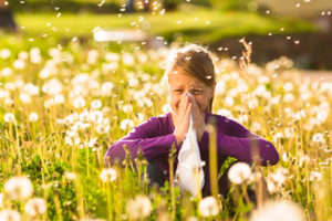 Médicaments contre les allergies